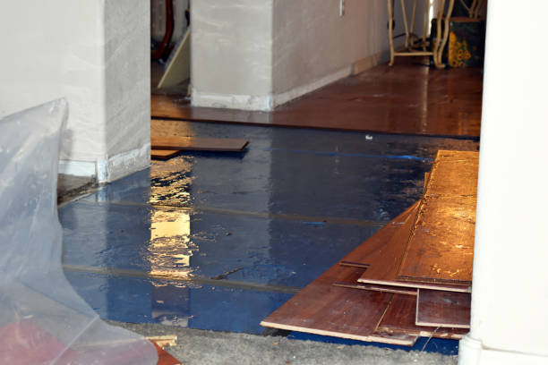 Professional Flood Cleanup technician working in Athens, IL